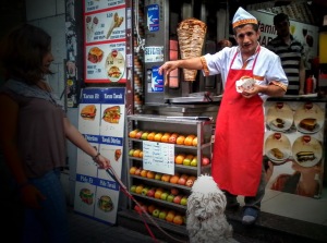 Oour local döner seller always had some scraps for the dogs